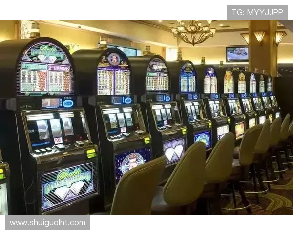 全面解析图解多福多财老虎机攻略让你轻松应对不同游戏局面赢取大奖